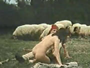 Hy Lạp Cổ điển Cừu Prairie Sex